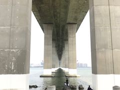 -中澳友谊花园