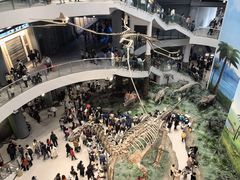 -辽宁古生物博物馆