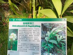 -中国科学院西双版纳热带植物园