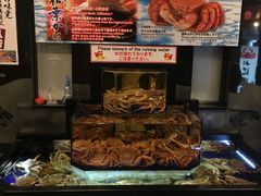 -蟹道乐(道顿堀本店)