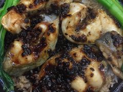 豉汁蒸鮰鱼饭-香港仔茶餐厅(凤阳店)