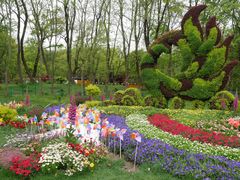 -上海共青森林公园