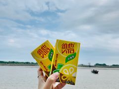 -大湾区中央湿地公园-十九涌