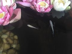 -Neary Khmer Restaurant