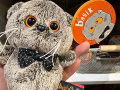 -谢列梅捷沃国际机场