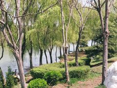 -宿豫区运河湾森林动物园