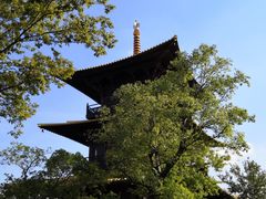 -华东政法大学(松江校区)