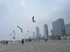 -东港音乐喷泉广场