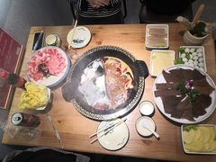 -肚社毛肚火锅