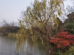 -桃花岛景观公园
