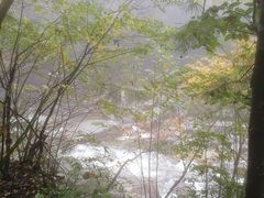 -青峰峡国家森林公园