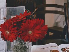 -西关84·History·Art·Cafe