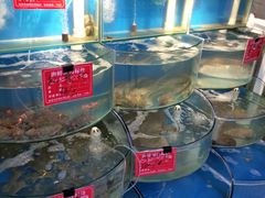 水产区-北戴河庆山饭店·海鲜砂锅粥(北戴河黑石路店)
