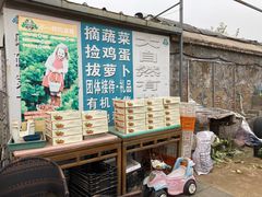 -大自然农场蔬菜草莓采摘园