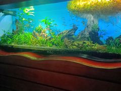 -太平洋海底世界