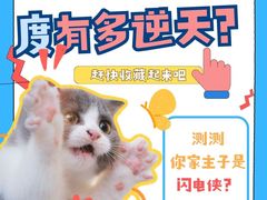 -lincat·猫舍(广州店)