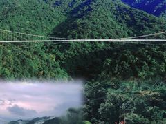 -南丹山森林王国