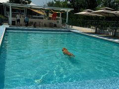 -爪吧宠物乐园 (温榆河示范区店)