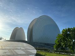 -香港深井掂檔烧鹅茶餐厅(海韵城店)