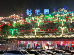 -枇杷园食为鲜火锅(南山店)