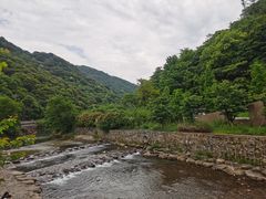 -北仑森林植物园