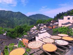 -婺源风景区