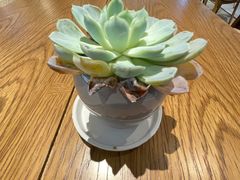 -Peet's Coffee皮爷咖啡(万象天地店)