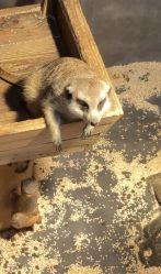 -未来动物城主题公园(正弘城店)