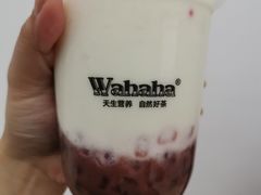 -娃哈哈·奶茶(武林店)