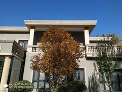 -中家鑫园温泉酒店鑫悦汤泉