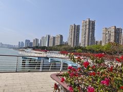 -海沧湾公园