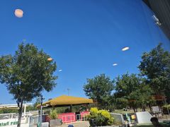 -爪吧宠物乐园 (温榆河示范区店)