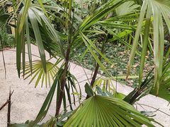 -茅草房·河畔园林火锅