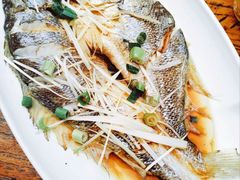 -山海菜馆·海肠捞饭·青岛菜(栈桥店)