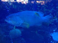 -成都浩海立方海洋公园