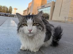 -夏家合汁(天润花园小区店)