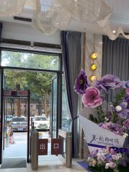 -深圳美莱医疗美容医院