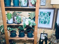 -Rabbit Cafe私房西餐甜点咖啡(栖霞路店)