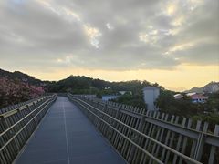 -福道