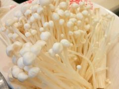 -阿香婆欢乐火锅(淄博万象汇店)