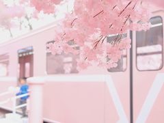 -金茂览秀城
