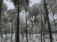 -天目湖御水温泉·度假酒店