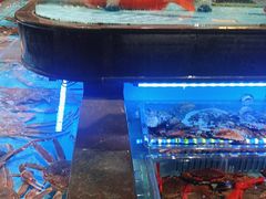 -阿伟海鲜楼·福建菜(延寿店)