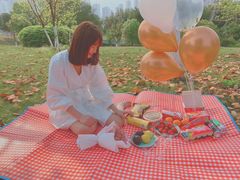 -重庆市江北嘴中央商务区中央公园