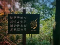 -南漈山
