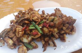 Stir-fried Frog Legs