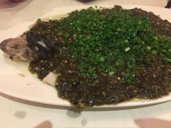 烧椒鲈鱼-尘香•传统川菜(创汇首座店)