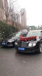 -蚂蚁婚车
