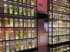 -广东中医药博物馆