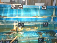 水产区-北戴河庆山饭店·海鲜砂锅粥(北戴河黑石路店)